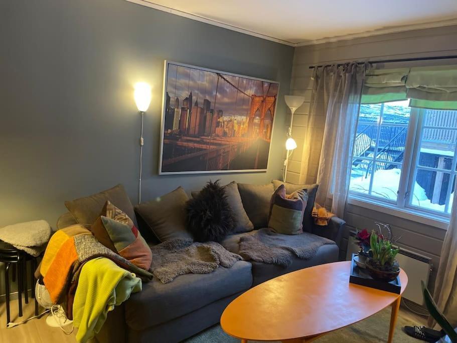Koselig Leilighet , Med Parkering Og Ski In &Out. Appartement Oppdal Buitenkant foto