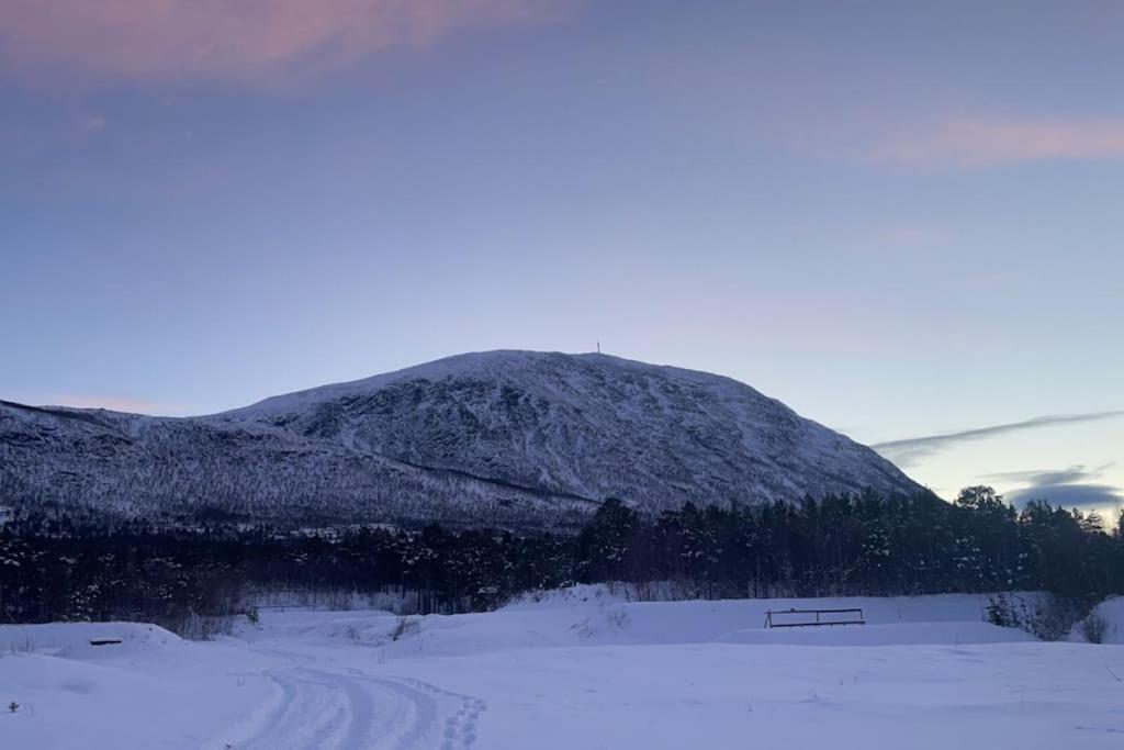 Koselig Leilighet , Med Parkering Og Ski In &Out. Appartement Oppdal Buitenkant foto