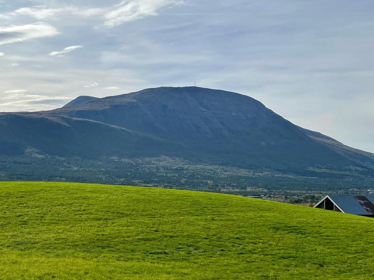Koselig Leilighet , Med Parkering Og Ski In &Out. Appartement Oppdal Buitenkant foto